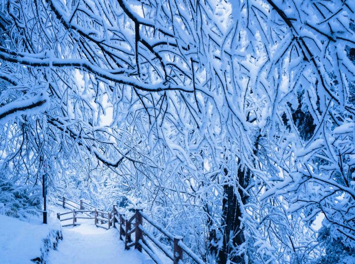 大雪节气诗词鉴赏（二十四节气大雪古诗）