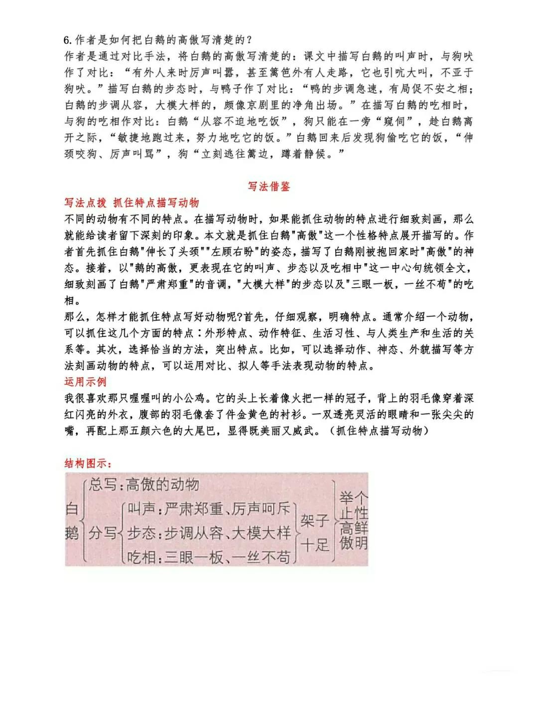 白鹅课文原文笔记（白鹅读书笔记主要内容）