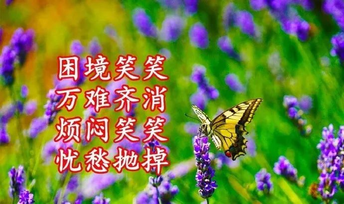 评价一个人的优点语句（高情商夸赞他人的经典美句）