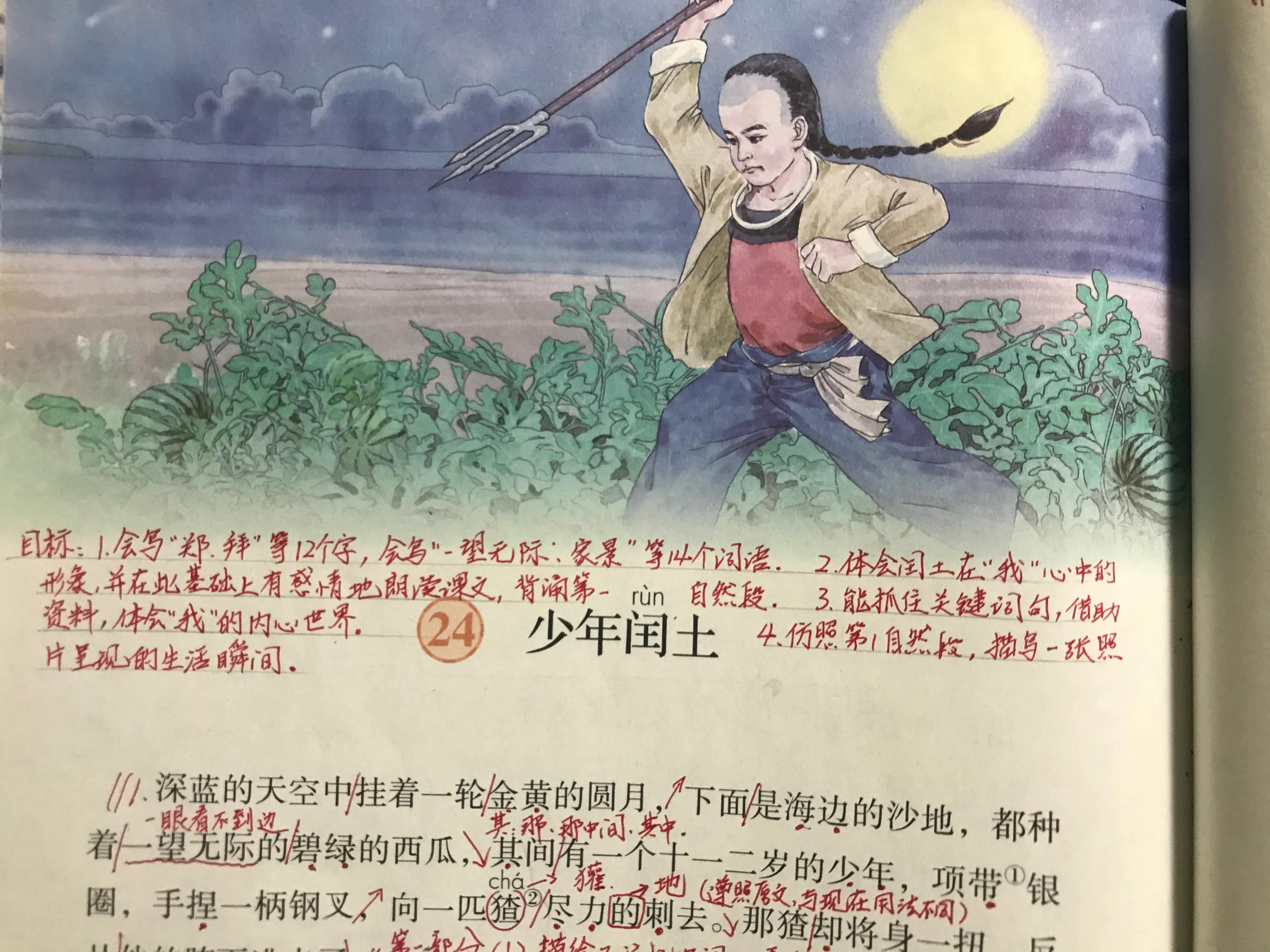 少年闰土的主要内容和段落大意（少年闰土全文解析）