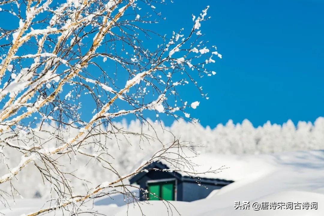 咏雪的名句有哪些（有关咏雪的诗句古诗）