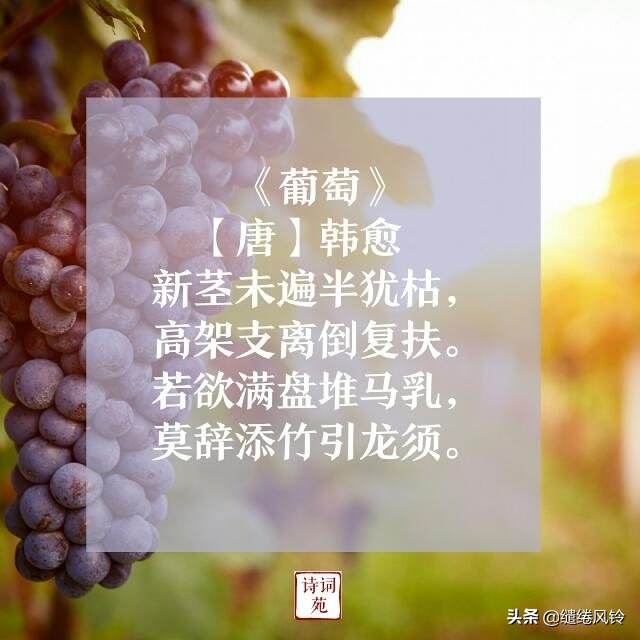 托物言志的诗有哪些（有关托物言志的10首名诗）