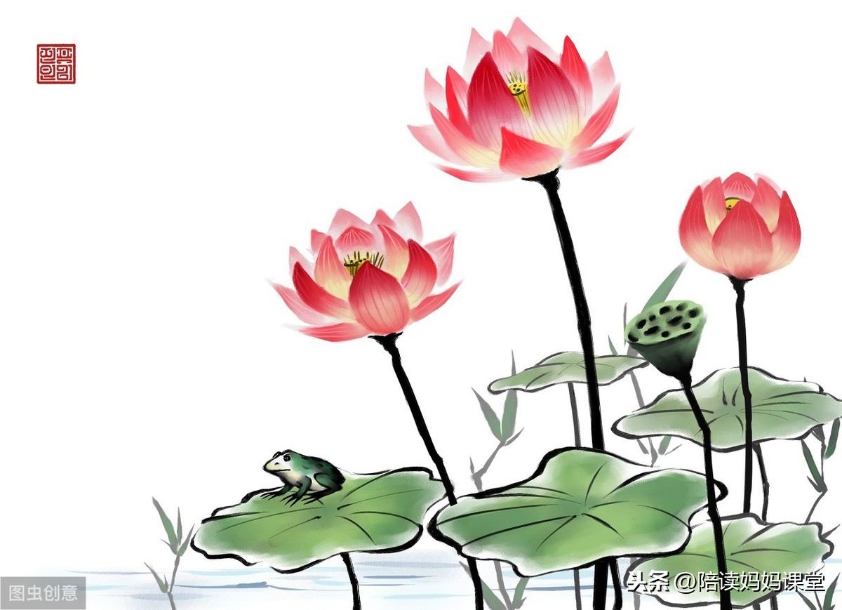 荷花外貌描写摘抄（一句话形容荷花美拟人句）