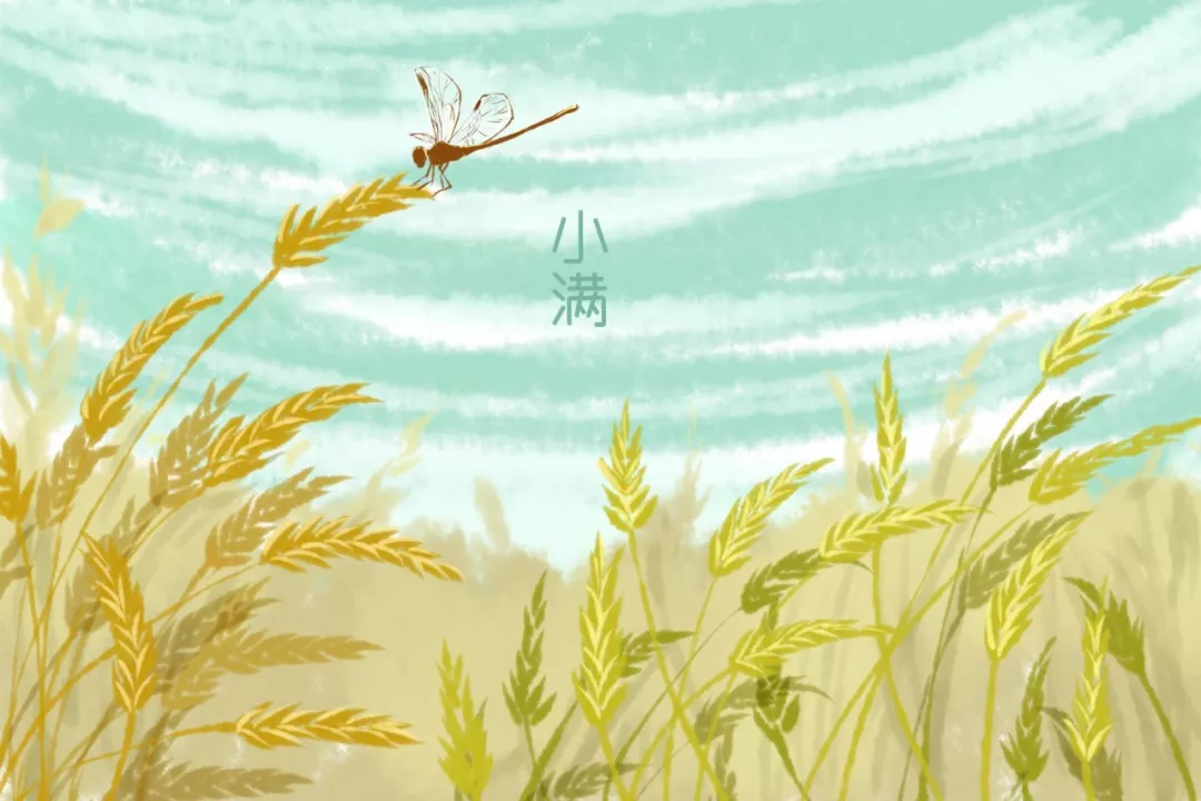 二十四节气小满古诗（小满节气的诗词集锦）