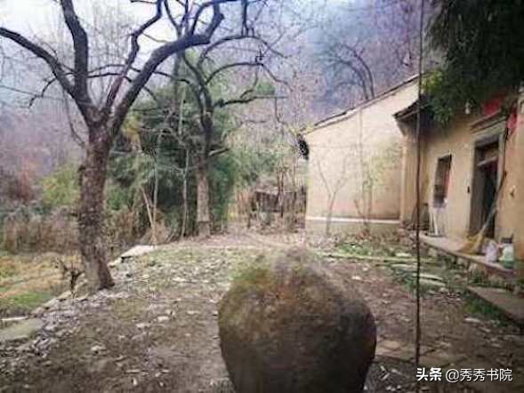 归园田居种豆南山下赏析（归园田居的内容）