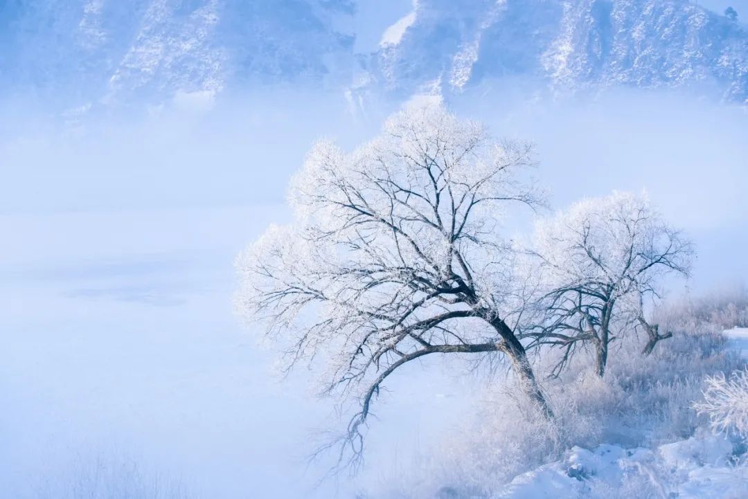 雪景的描写优美句子（雪景的描写优美句子）