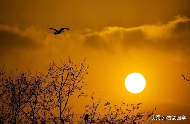 情人怨遥夜竟夕起相思（情人怨遥夜竟夕起相思全诗赏析）