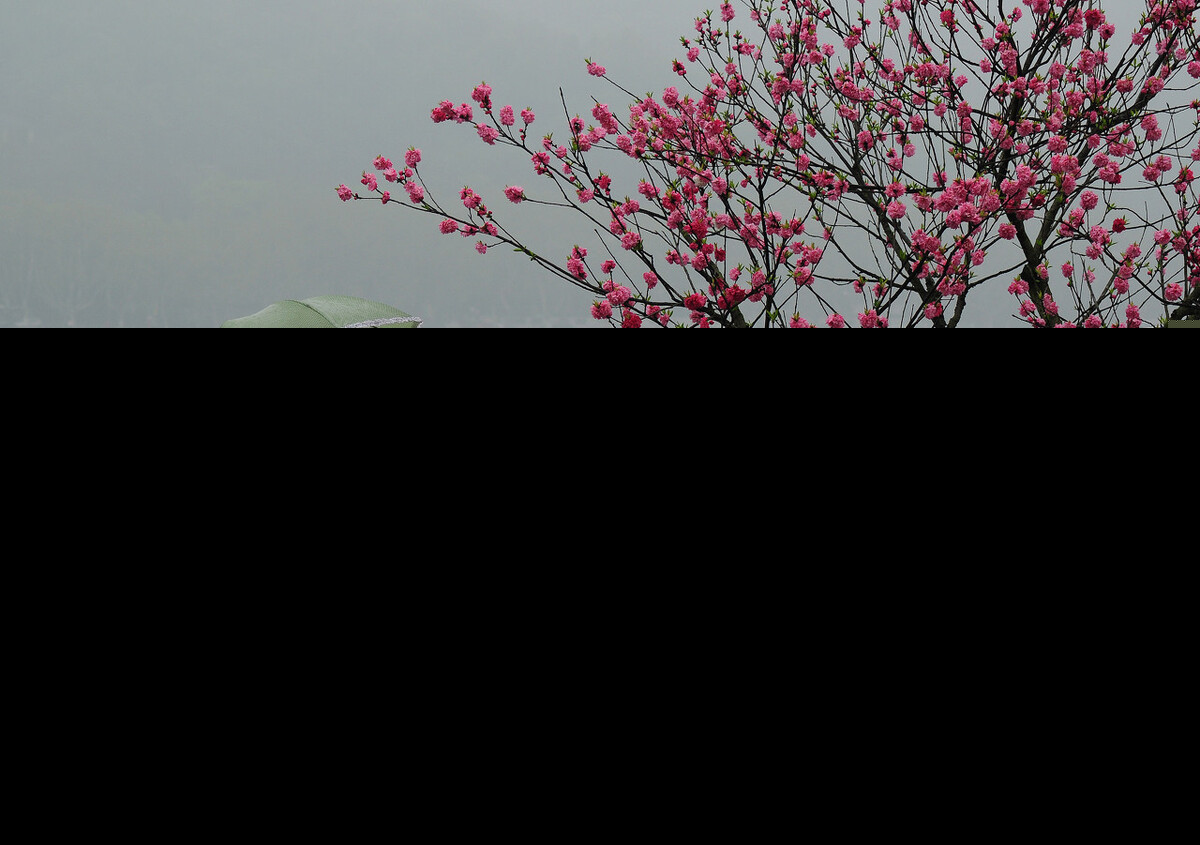 赞美春天的散文诗歌（与春有关的散文诗）