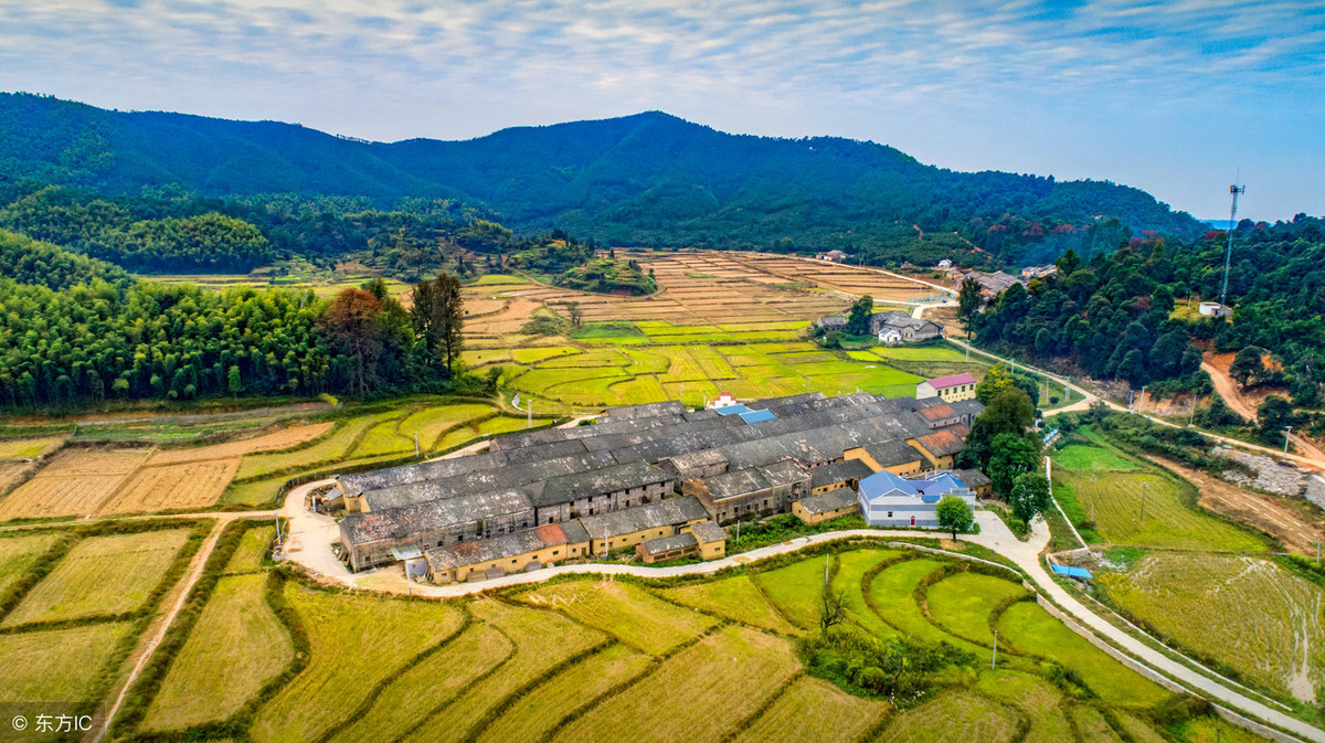 清平乐村居翻译简短（清平乐村居古诗词）