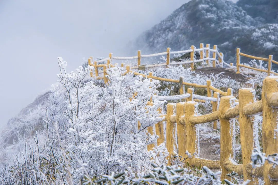 关于雪的诗歌有哪些（描写雪的经典诗词）