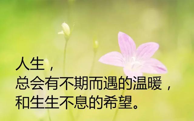励志美文精选简短（激励人心的范文）