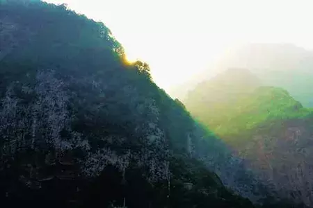 关于清明的古诗大全简短（清明节的诗句最有名的）