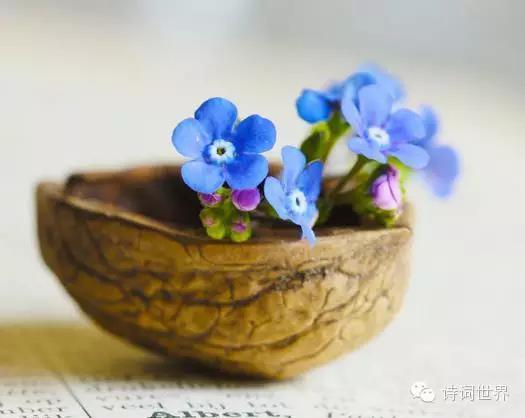 人间有味是清欢林清玄（林清玄散文集好段赏析）