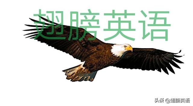 关于美的句子英文（最值收藏的英文唯美说说）