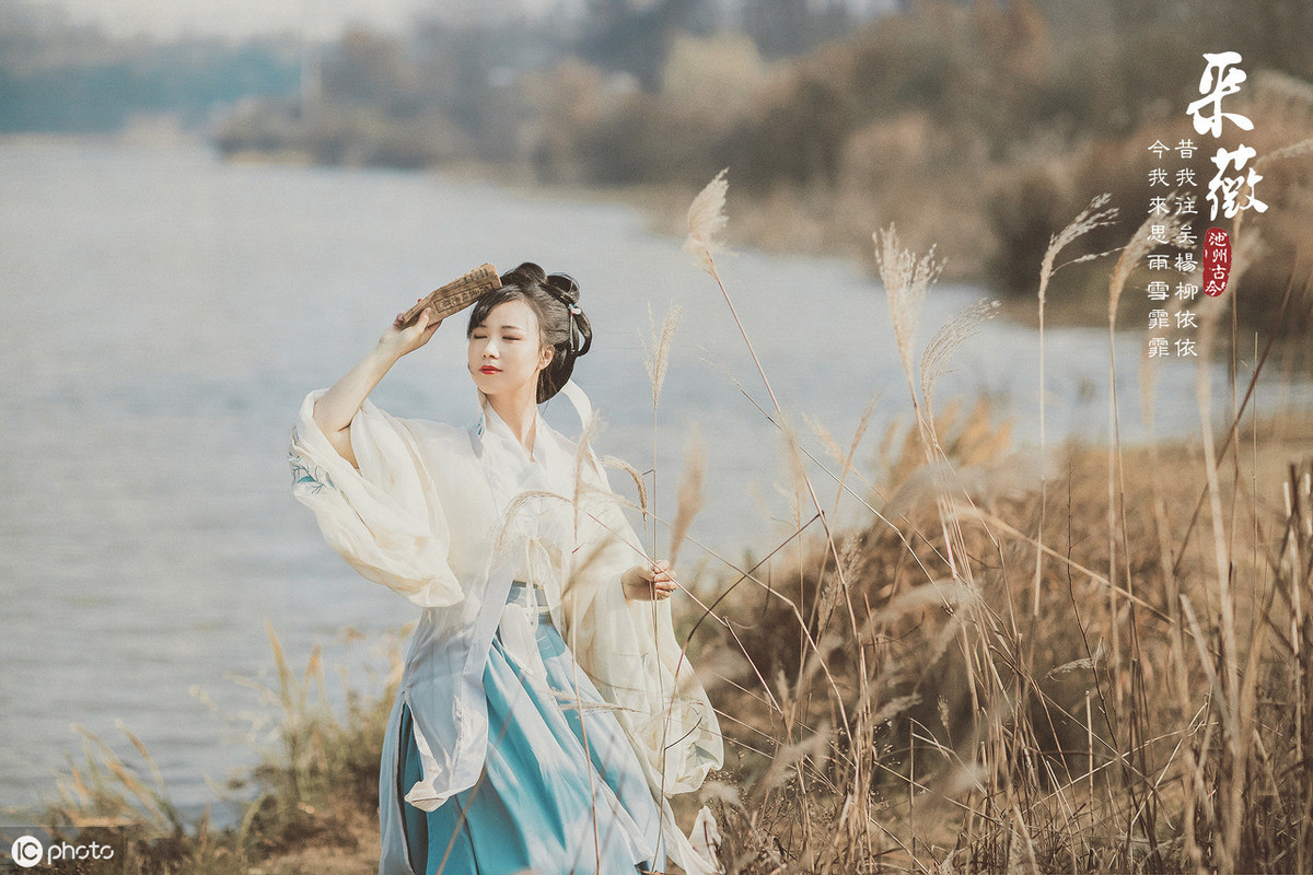 诗经采薇古诗赏析及翻译（诗经采薇(节选)拼音版）