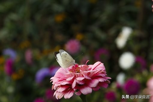 表达自己很感动的句子（感动人心的名言名句）