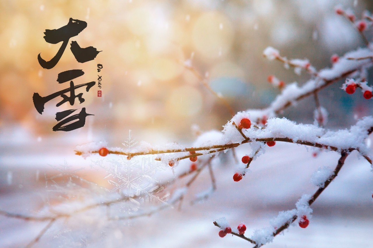 形容雪花的诗句古诗（赞美雪花的优美诗句）