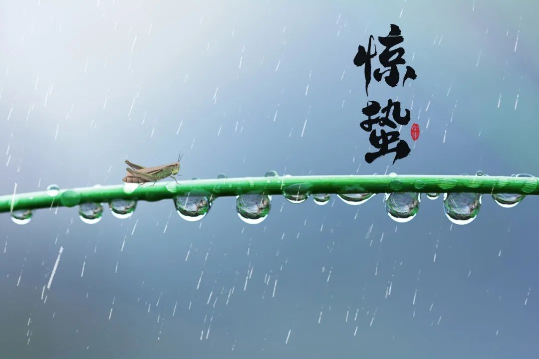 惊蛰的诗句和谚语（关于惊蛰的民间俗语）