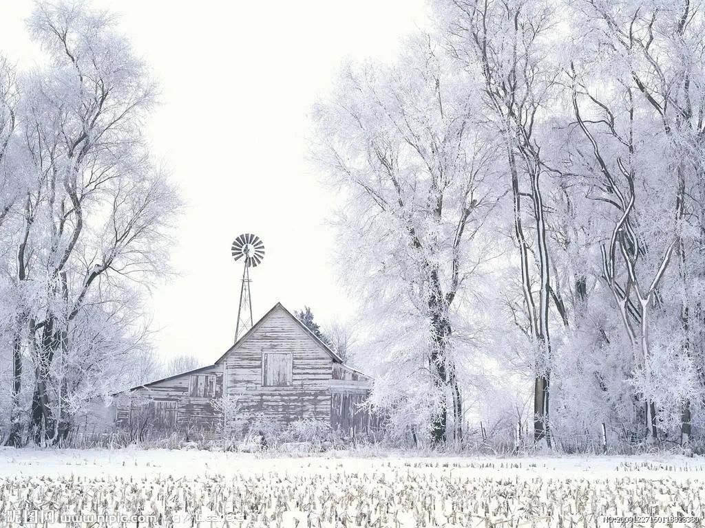 关于雪的诗歌有哪些（描写雪的经典诗词）