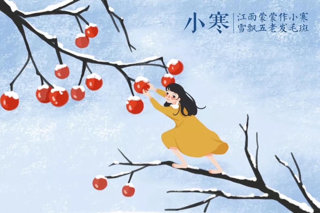 形容冬去春来的诗句（关于节气的诗句）