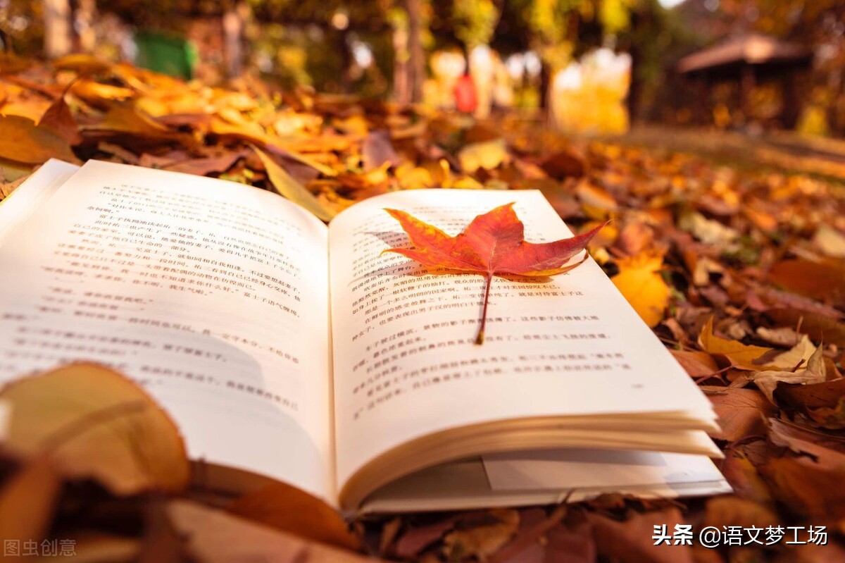 诗歌作文格式范文（以诗歌为话题的作文800）