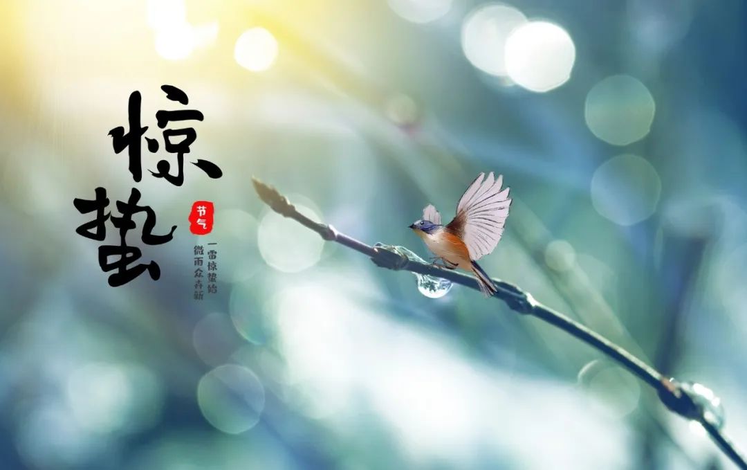 关于惊蛰的古诗（惊蛰的古诗词精选）