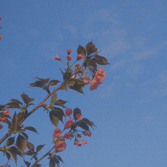 形容失望到极点的句子（对爱情不抱任何希望的心情说说）
