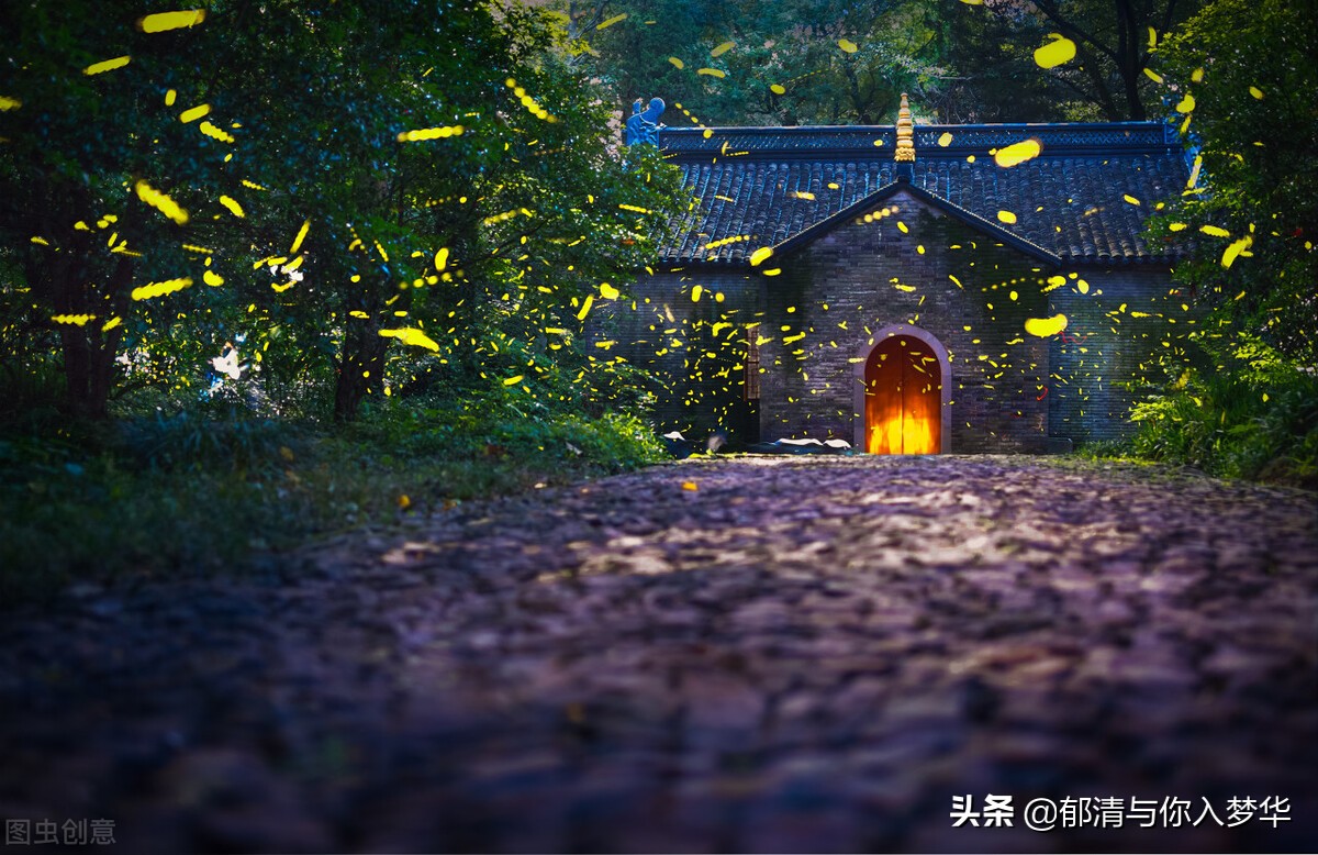 关于萤火虫的唯美句子（描写萤火虫的心情语录）