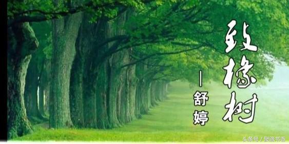 致橡树全诗写了哪几个意象（致橡树的意象和含义）