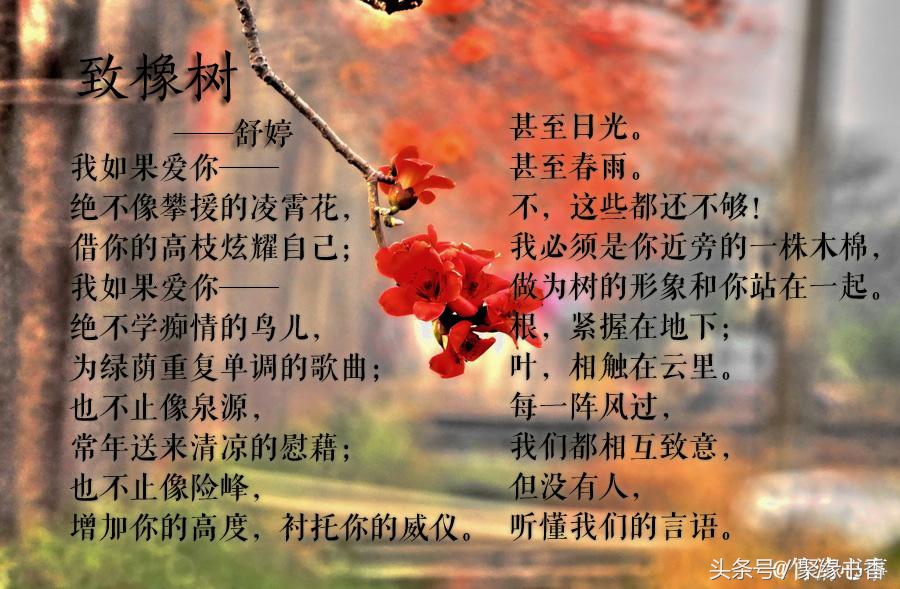 致橡树全诗写了哪几个意象（致橡树的意象和含义）