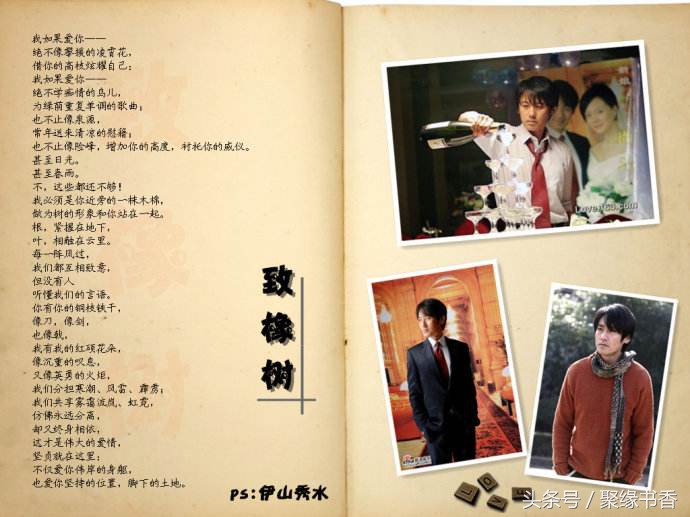 致橡树全诗写了哪几个意象（致橡树的意象和含义）