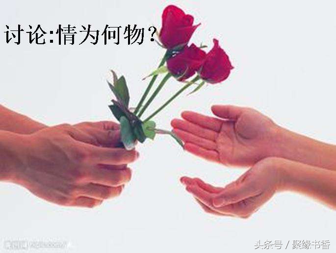 致橡树全诗写了哪几个意象（致橡树的意象和含义）