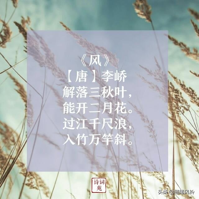 托物言志的诗有哪些（有关托物言志的10首名诗）