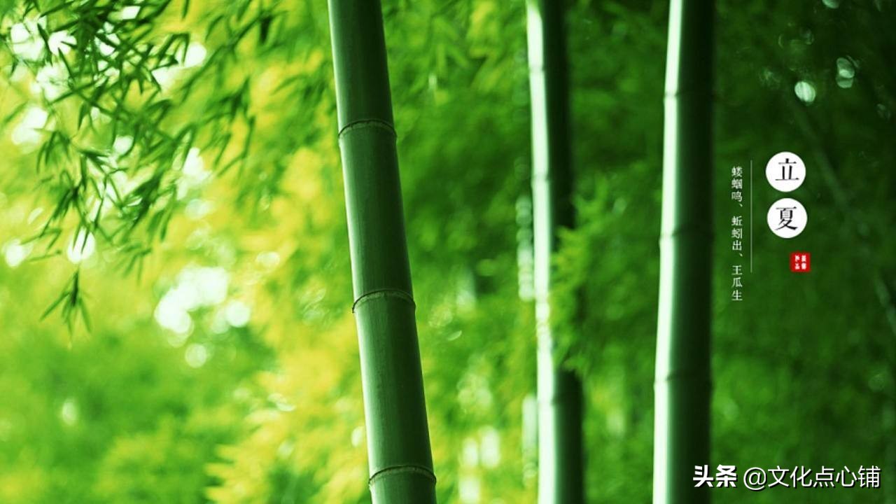 描写流年的唯美词句（带流年的唯美诗词）