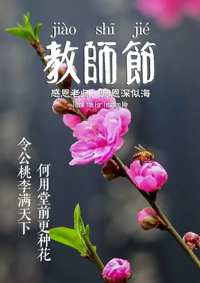 赞美老师的诗句古诗（感谢老师的经典佳句）