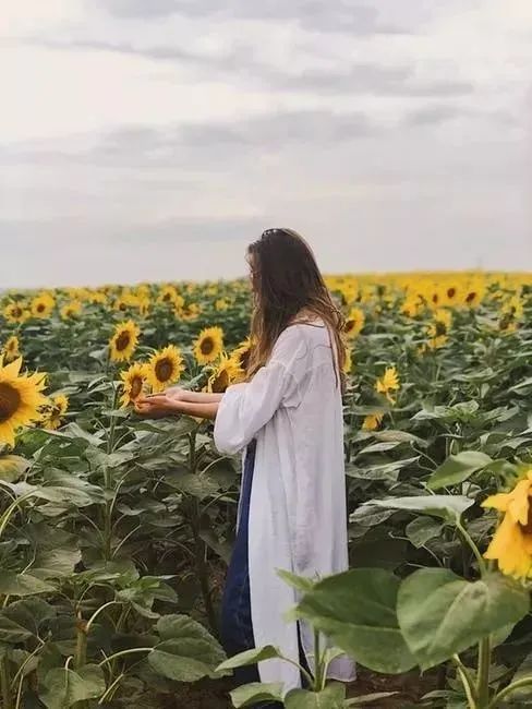赞美妇女的诗歌散文（赞美女性的现代诗歌）