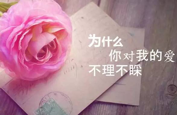 形容心里很温暖的句子（治愈系满满的正能量语录）