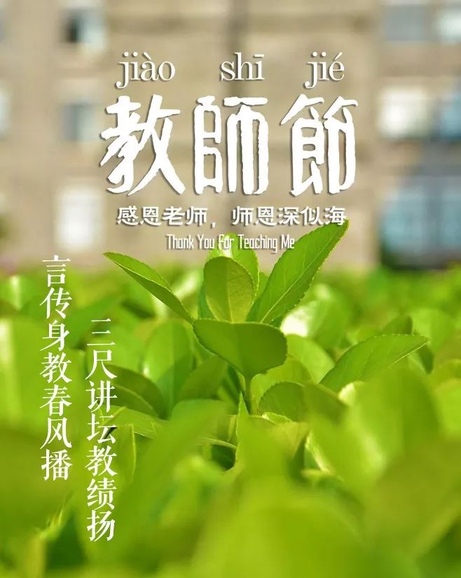 赞美老师的诗句古诗（感谢老师的经典佳句）