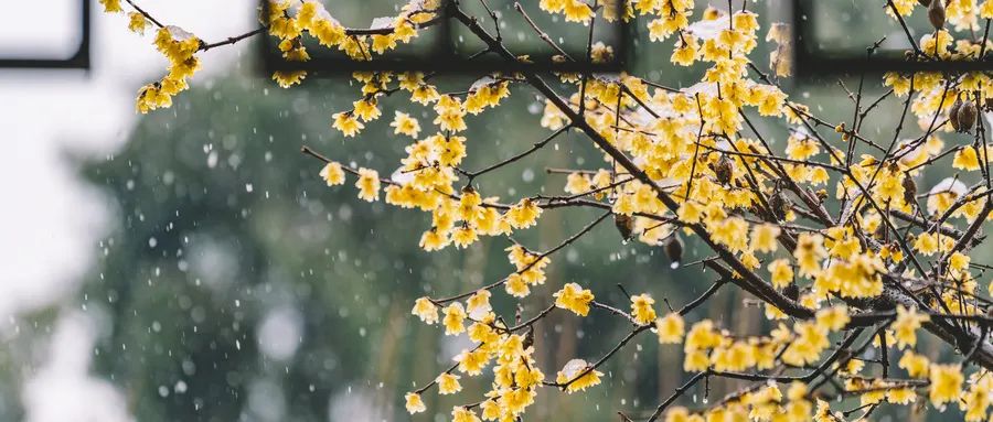 悲伤古诗词名句大全（表达悲伤的经典诗句）