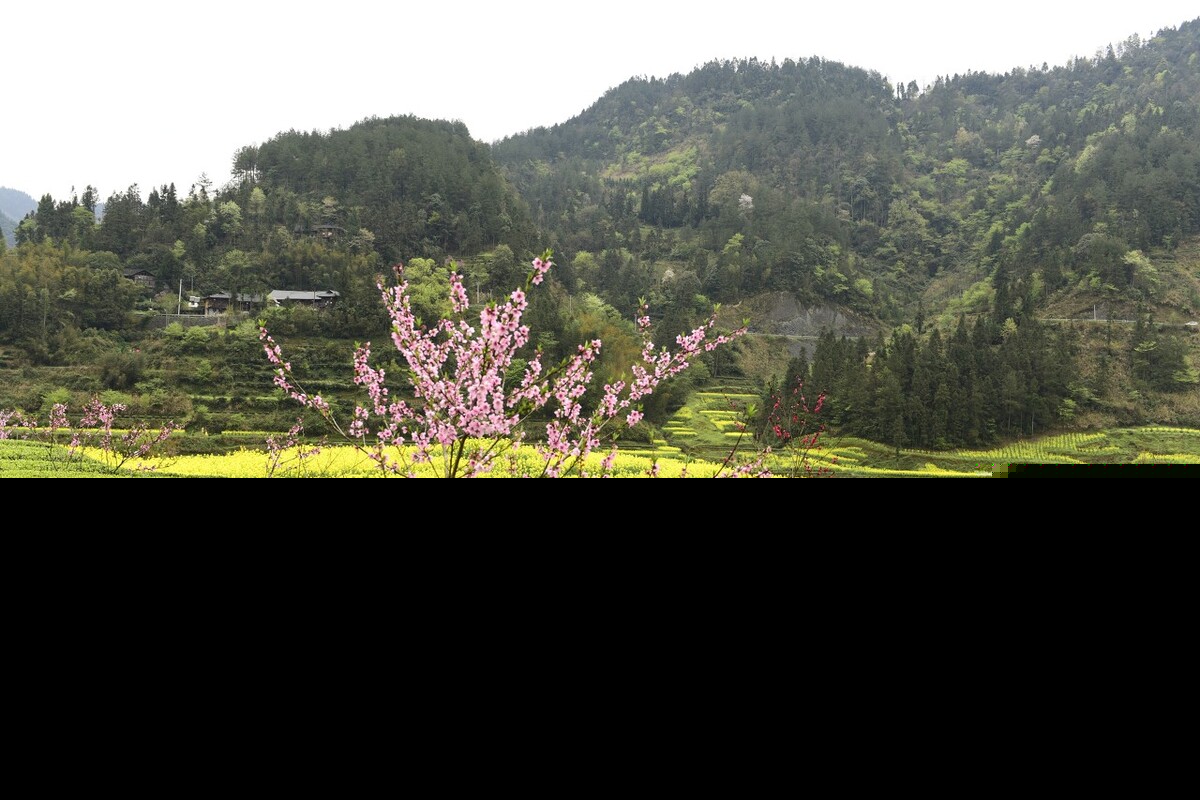 春天来了作文精选（以春天来了为题的作文鉴赏）