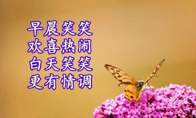 评价一个人的优点语句（高情商夸赞他人的经典美句）