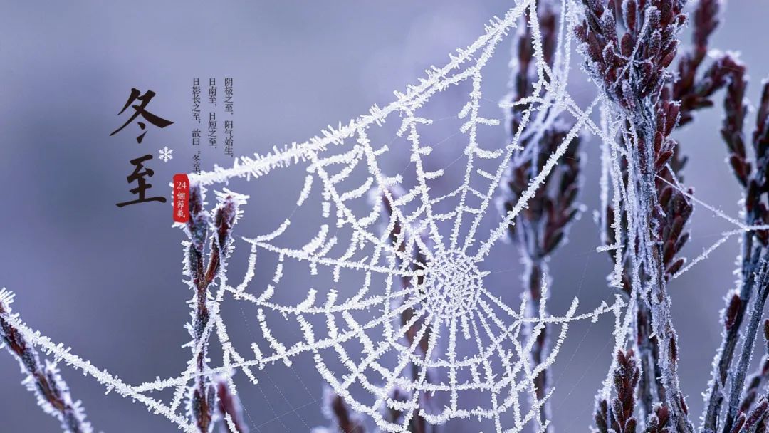 赞美冬至的古诗词（描写冬至的古诗）