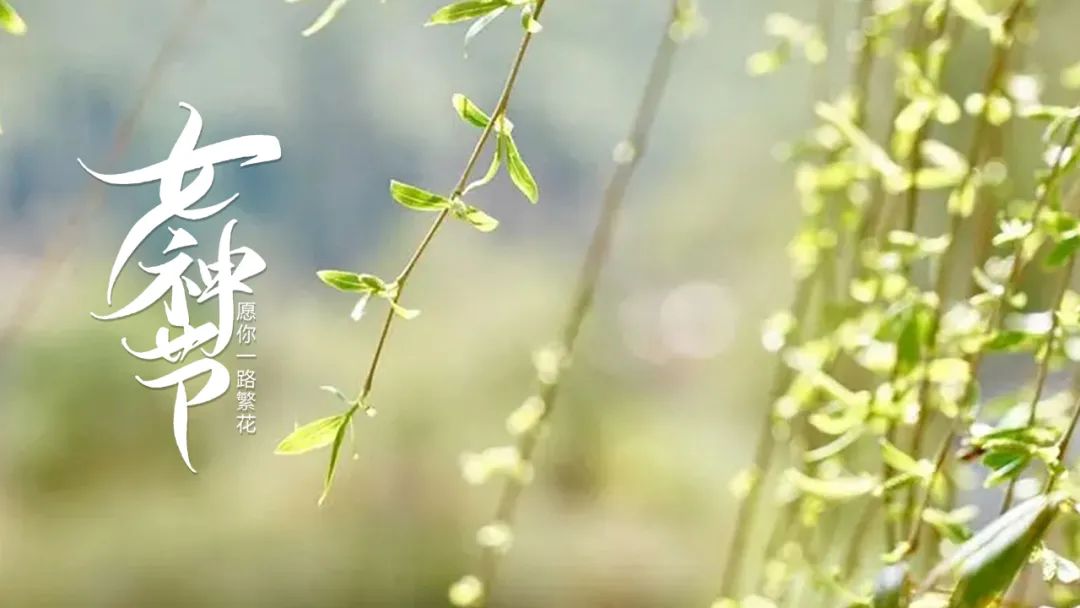 万种风情唯美句子（赞美女人妩媚迷人的句子）