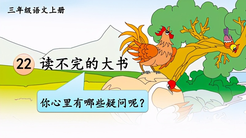 小学语文评课稿范文有哪些（关于小学语文评课稿万能）