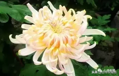 想念天堂父母短句（想念天堂的亲人的句子）