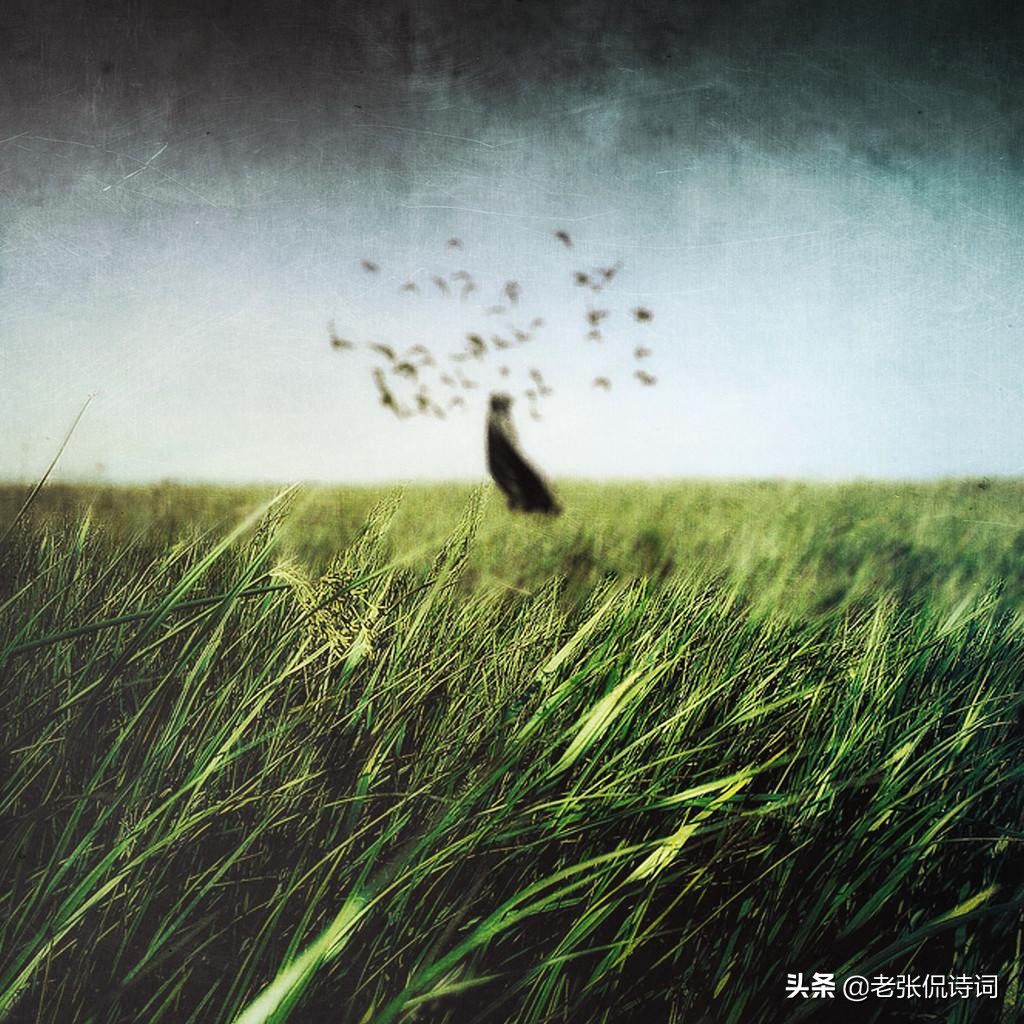 师说第一段主要写什么内容（韩愈师说原文及翻译）