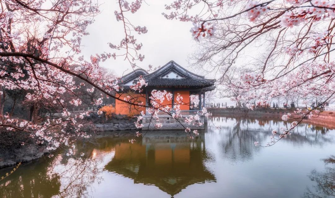 清明节古诗词大全（清明节的经典古诗）