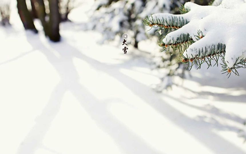 大雪节气诗词鉴赏（二十四节气大雪古诗）