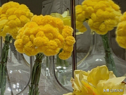 女生单身说说经典语句（表示单身的心情说说）