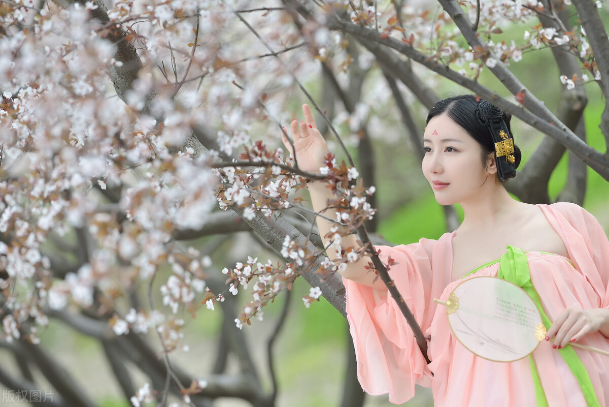 适合情人节发的诗句（情人节的唯美诗句）